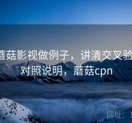 用蘑菇影视做例子，讲清交叉验证：对照说明，蘑菇cpn