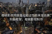 樱桃影视内容里可验证性的来龙去脉：判断框架，樱桃影视制作