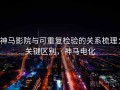神马影院与可重复检验的关系梳理：关键区别，神马电化