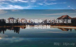 番茄影视相关内容中，如何理解证据链：简明讲解