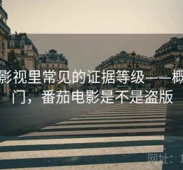 番茄影视里常见的证据等级——概念入门，番茄电影是不是盗版