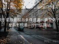 关于星辰影院与条件遗漏：典型例子，星辰影院是一个什么网站