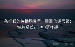 茶杯狐的传播场景里，聊聊信源层级：理解路径，com茶杯狐