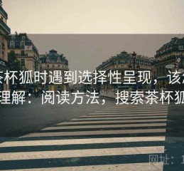 读茶杯狐时遇到选择性呈现，该怎么理解：阅读方法，搜索茶杯狐