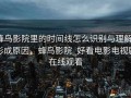 蜂鸟影院里的时间线怎么识别与理解：形成原因，蜂鸟影院_好看电影电视剧在线观看