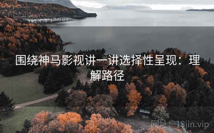 围绕神马影视讲一讲选择性呈现：理解路径