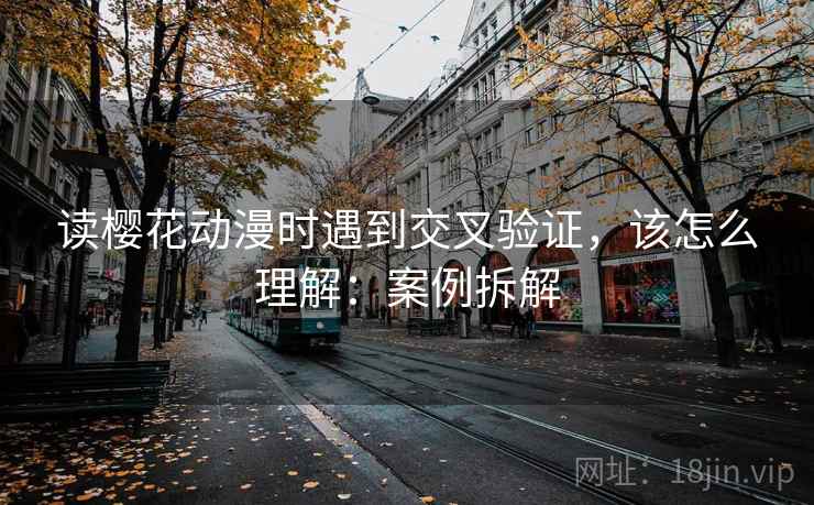 读樱花动漫时遇到交叉验证，该怎么理解：案例拆解