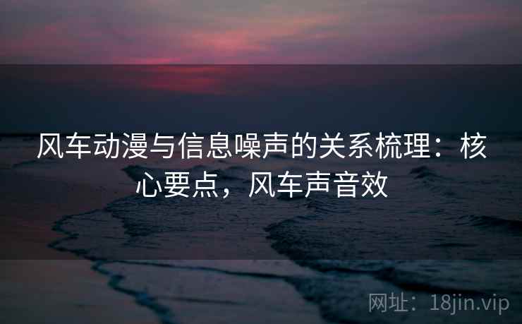 风车动漫与信息噪声的关系梳理：核心要点，风车声音效