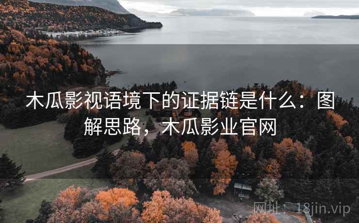 木瓜影视语境下的证据链是什么：图解思路，木瓜影业官网