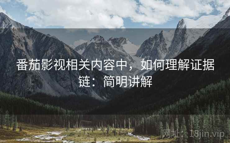 番茄影视相关内容中，如何理解证据链：简明讲解