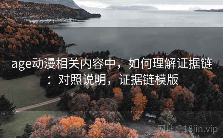 age动漫相关内容中，如何理解证据链：对照说明，证据链模版