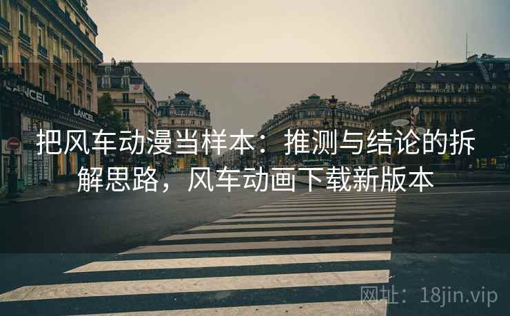 把风车动漫当样本：推测与结论的拆解思路，风车动画下载新版本
