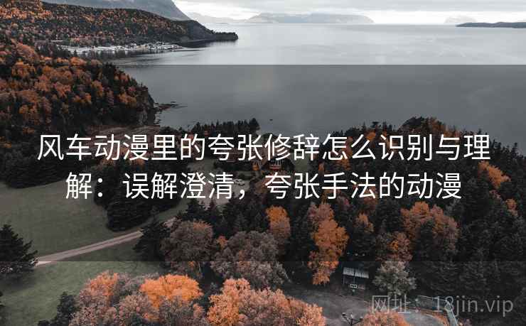 风车动漫里的夸张修辞怎么识别与理解：误解澄清，夸张手法的动漫