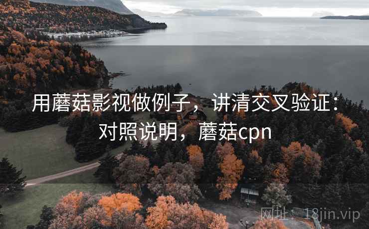 用蘑菇影视做例子，讲清交叉验证：对照说明，蘑菇cpn